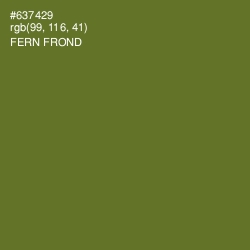 #637429 - Fern Frond Color Image